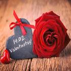 Alles Gute zum Valentinstag Grüße 2020 icono
