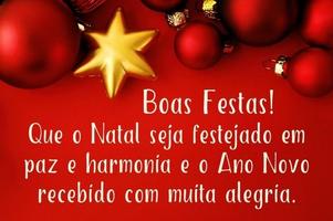 Feliz Natal e Prospero Ano Novo 2021 скриншот 4