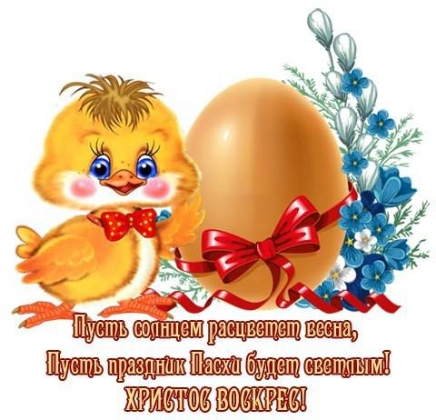 S Pashoj 2021 For Android Apk Download