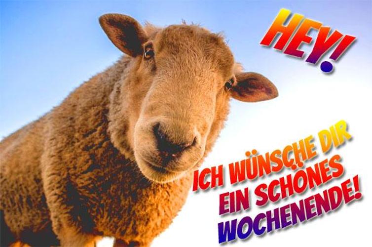Wochentage Spruche For Android Apk Download