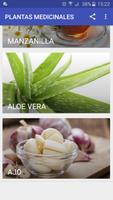 PLANTAS MEDICINALES 포스터