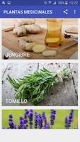 PLANTAS MEDICINALES 스크린샷 1