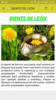 PLANTAS MEDICINALES 스크린샷 2
