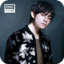 BTS V Kim Taehyung Wallpapers KPOP Fans HD APK