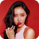 Mamamoo Hwasa Wallpaper KPOP Fans HD APK
