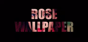 BlackPink Rose Wallpapers KPOP Fans HD