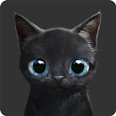 APK Kitten Wallpapers HD