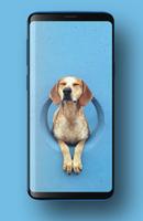 Puppies Wallpapers HD screenshot 3