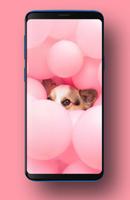 Puppies Wallpapers HD screenshot 1