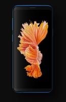 Betta Fish Wallpapers HD screenshot 3