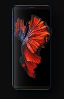Betta Fish Wallpapers HD screenshot 1