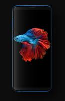 Betta Fish Wallpapers HD screenshot 2