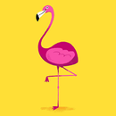 Cute Flamingo Wallpapers HD APK