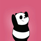 Cute Panda Wallpapers HD icône