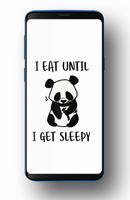 Cute Panda Wallpapers HD Screenshot 2