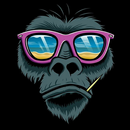 APK Best Funny Wallpapers HD