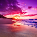 Sunset Wallpapers HD APK