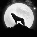 APK Werewolf Wallpapers HD