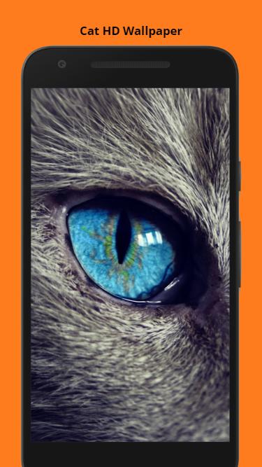 Cat Hd Wallpapers Kitty Wallpaper 3d And Live For Android Apk - Cat Eyes Wallpaper Cell Phone Cat Hd Wallpapers Kitty Wallpaper 3d And Live For Android Apk - Cat Eyes Wallpaper Cell Phone