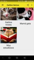 Gatitos tiernos screenshot 3
