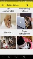 Gatitos tiernos screenshot 2