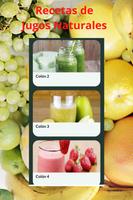 Recetas de Jugos Naturales screenshot 2