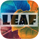 Leaf Walpapers HD APK