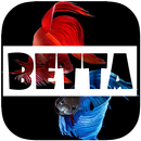 Betta Fish Wallpaper APK