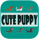Cute Puppy Wallpaper APK