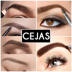 Descargar APK de Ideas cejas perfectas