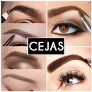 Ideas cejas perfectas APK