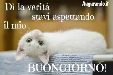 Buongiorno & Buonanotte Immagini アプリダウンロード