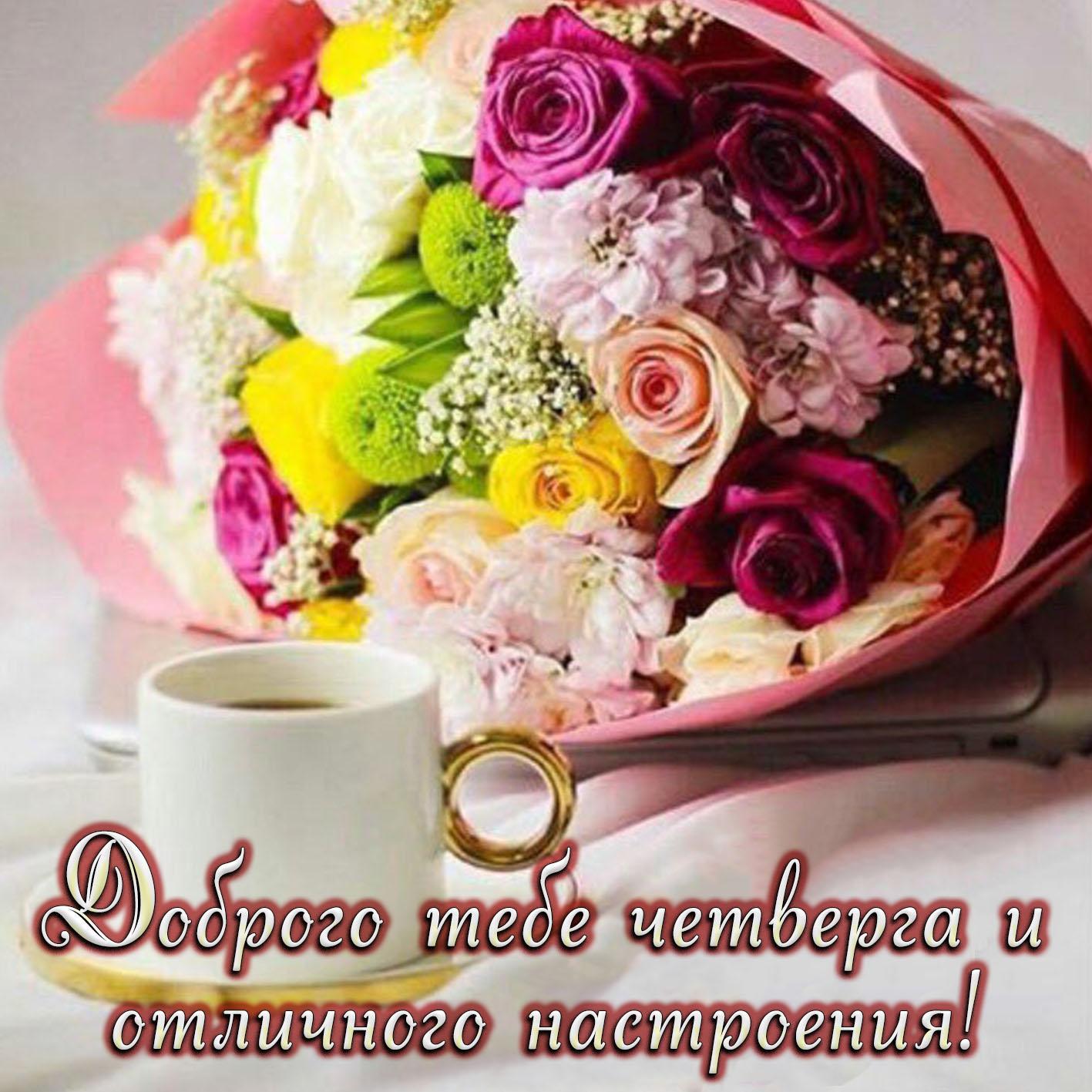 Https Encrypted Tbn0 Gstatic Com Images Q Tbn 3aand9gct9j Mmqfuqmkuhuzlw3nirlux1imjjvqf3q Usqp Cau