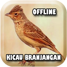 Master Branjangan Offline icône