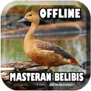 Suara Burung Belibis Offline APK