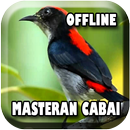 Masteran Burung Cabai Offline APK