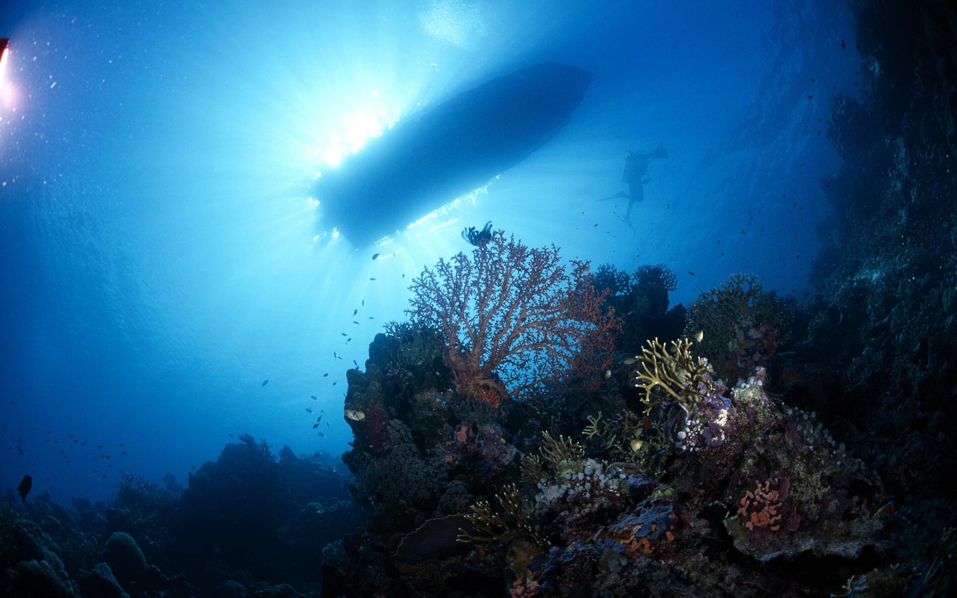 Подводные части океана