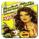 Best Album Muppet Mp3 APK