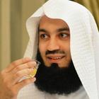 Sheikh Ismail Mufti Menk Audio icône