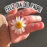 Feliz día del padre. Postales