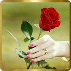Buenos días mi amor icon