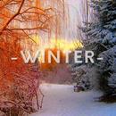 Winter Wallpapers HD APK