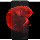 Betta Fish Wallpapers APK