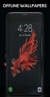 Betta Fish imagem de tela 1