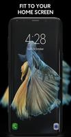 Betta Fish imagem de tela 2