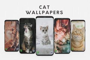 Cat Wallpapers Affiche