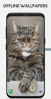 Cat Wallpapers capture d'écran 1