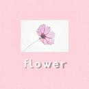 Flower Wallpapers APK