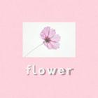 Flower Wallpapers biểu tượng