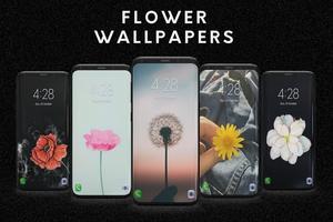 Flower Wallpapers bài đăng